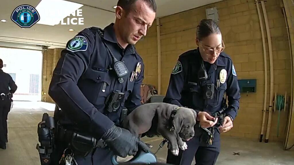 police-give-overdose-reversing-drug-to-puppy-after-possible-fentanyl-exposure